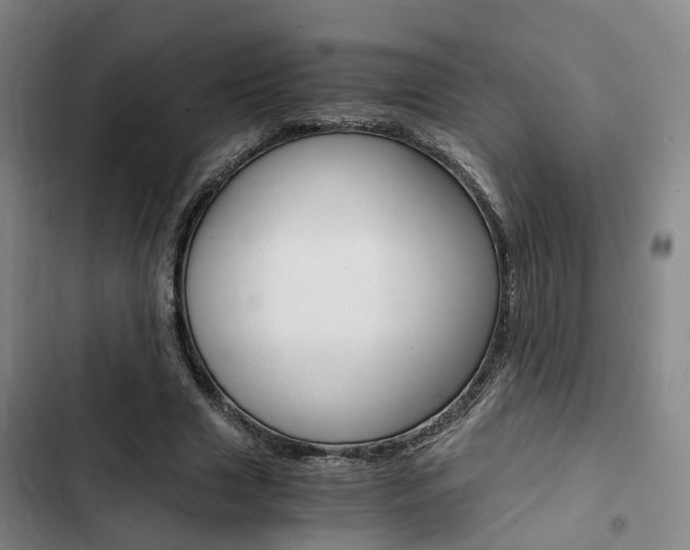 X0000103330633200809051023