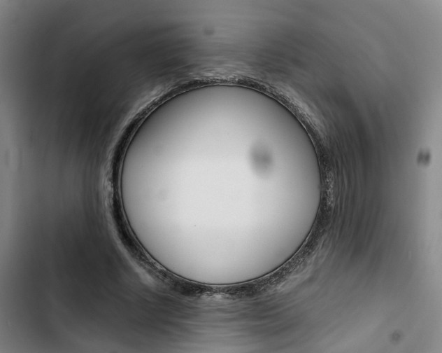 X0000103330634200809051023