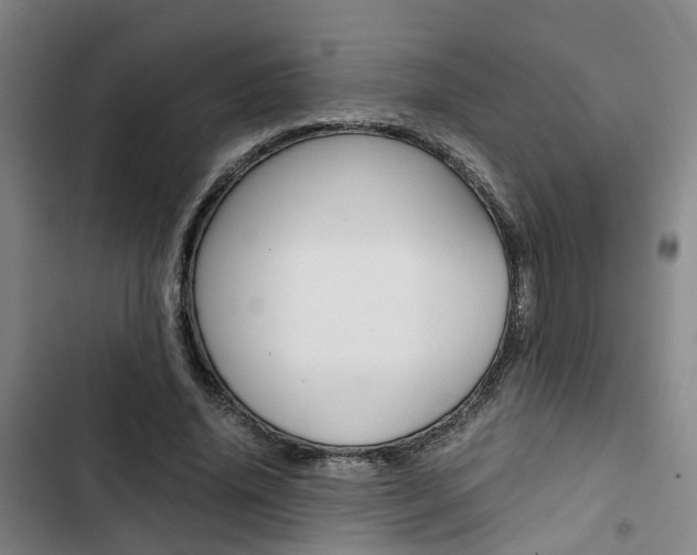 X0000103330636200809051023