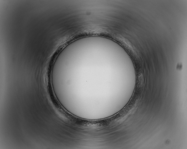 X0000103330638200809051023