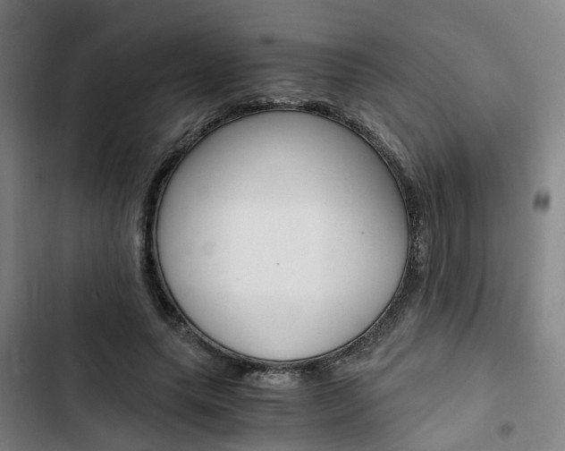 X0000103330639200809051023