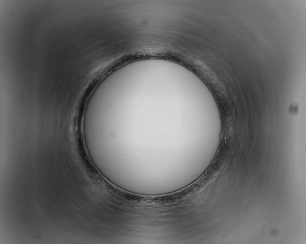 X0000103330640200809051023