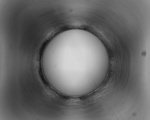 X0000103330642200809051023