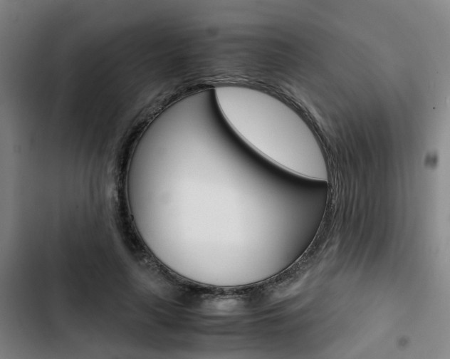 X0000103330643200809051023