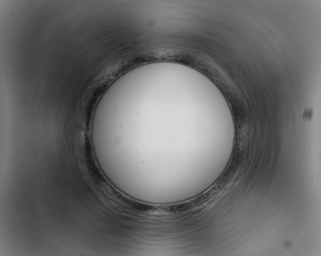X0000103330644200809051023