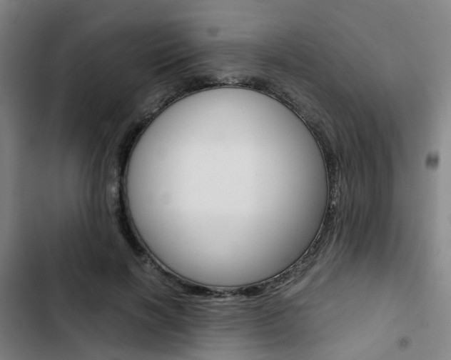 X0000103330646200809051023