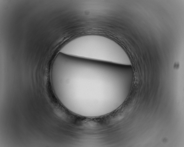 X0000103330648200809051023