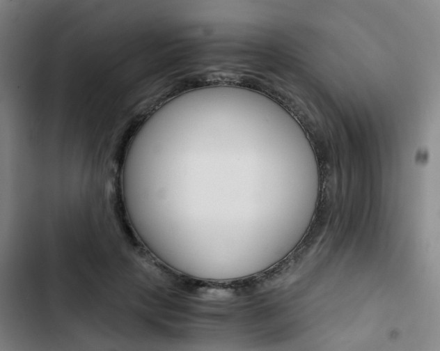 X0000103330649200809051023