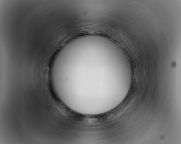 X0000103330650200809051023