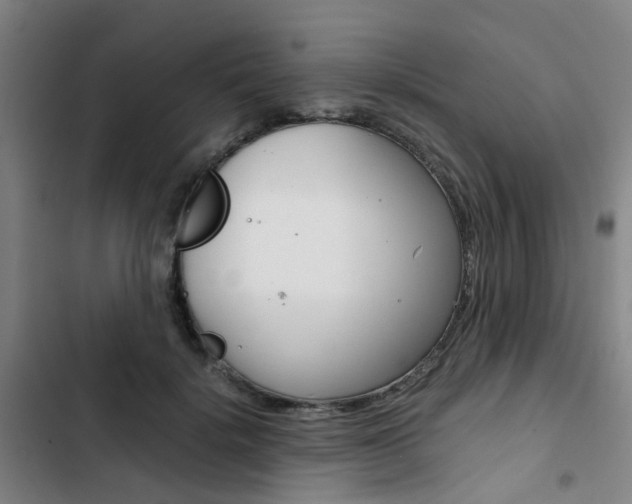 X0000103330652200809051023