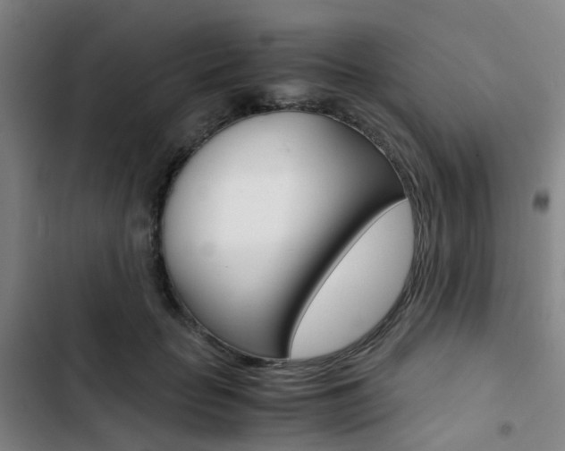 X0000103330653200809051023