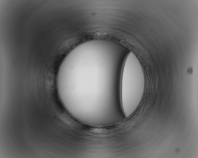 X0000103330654200809051023