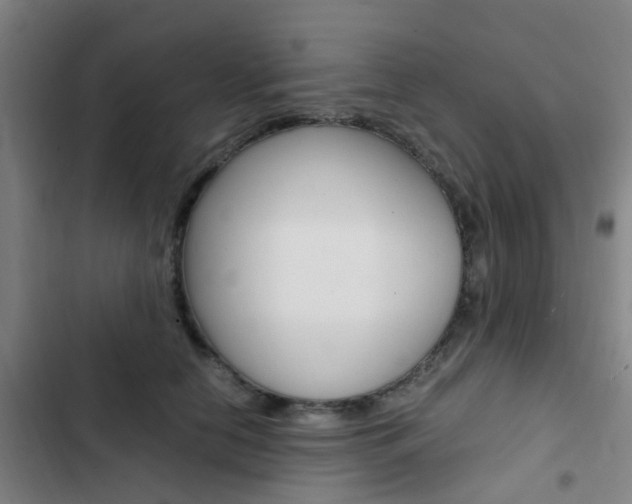 X0000103330658200809051023