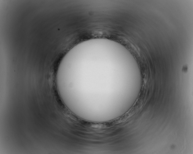X0000103330659200809051023