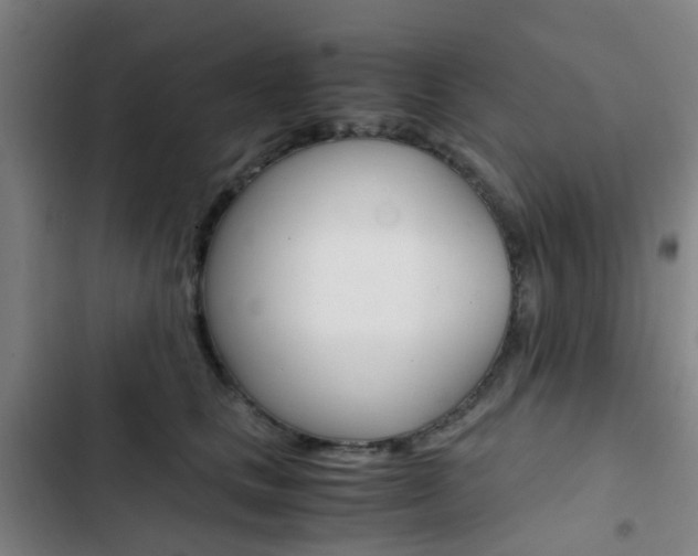 X0000103330661200809051023
