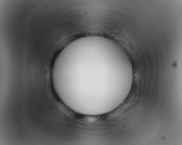 X0000103330662200809051023