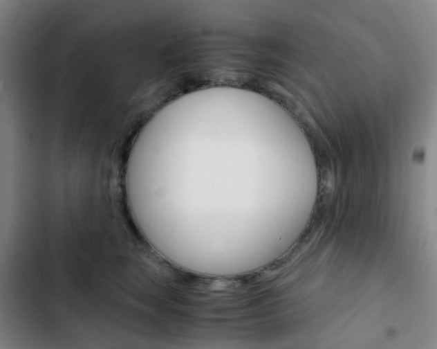 X0000103330663200809051023