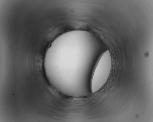 X0000103330664200809051023