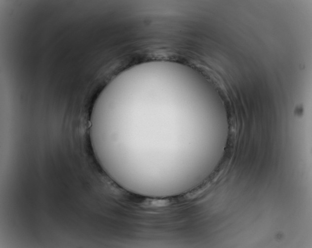 X0000103330665200809051023