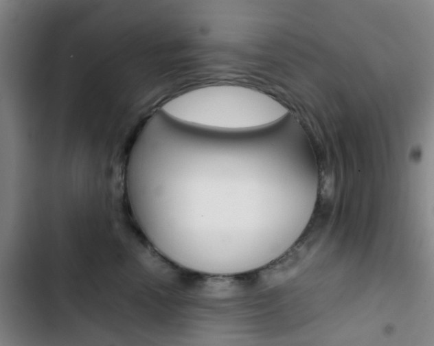 X0000103330666200809051023