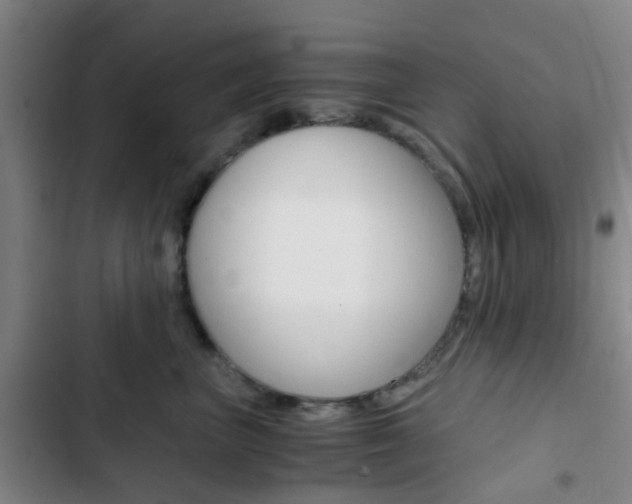 X0000103330667200809051023