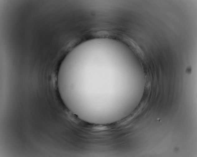 X0000103330669200809051023