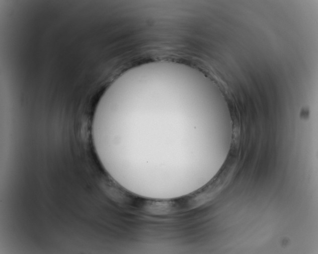 X0000103330671200809051023