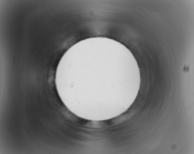 X0000103330672200809051023