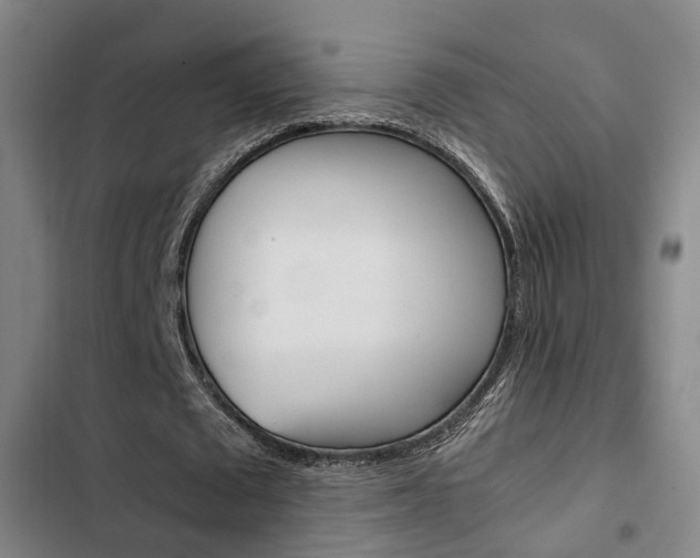 X0000103330673200809051023