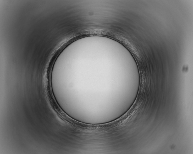 X0000103330674200809051023