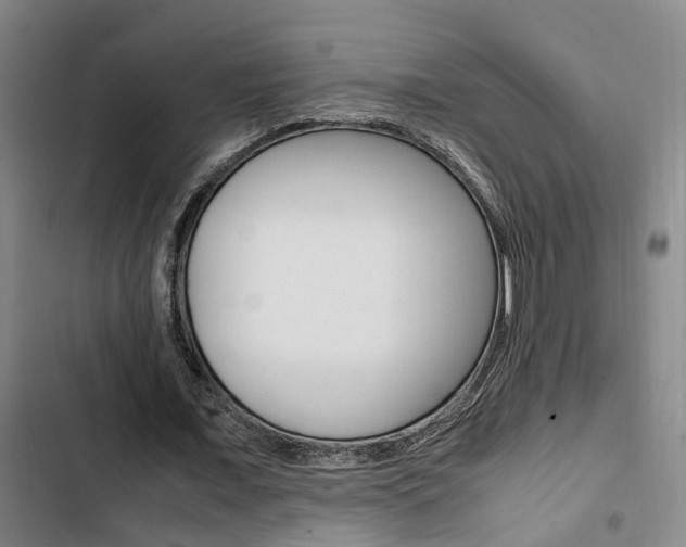 X0000103330675200809051023