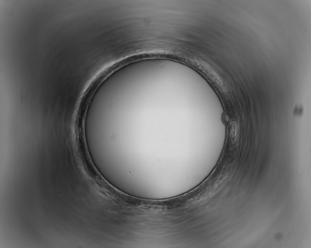 X0000103330676200809051023
