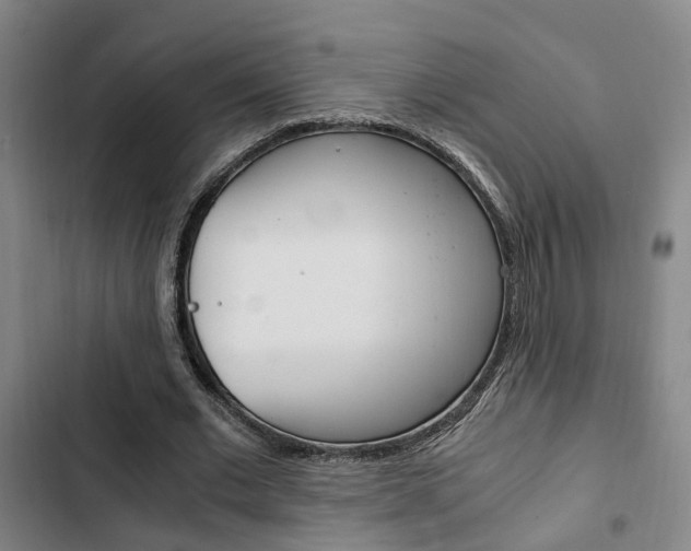 X0000103330677200809051023