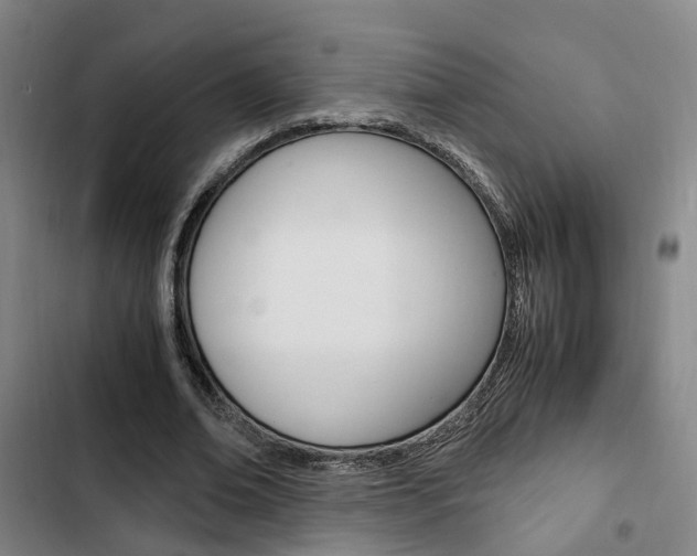 X0000103330678200809051023