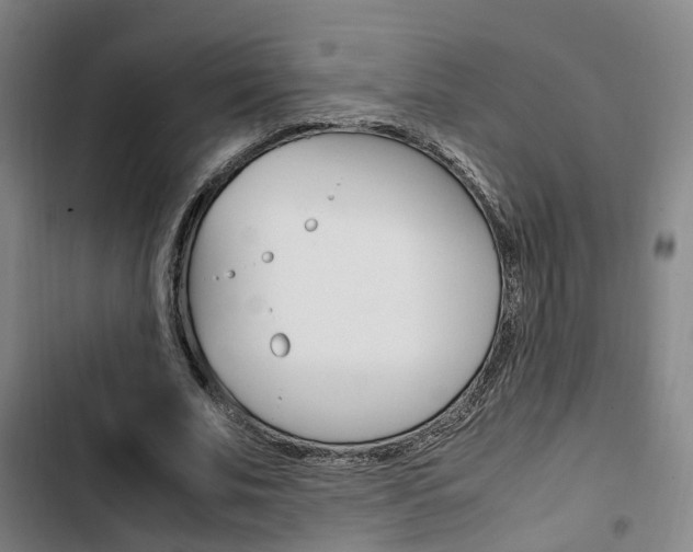 X0000103330679200809051023