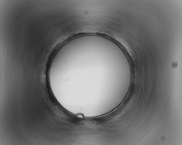 X0000103330681200809051023