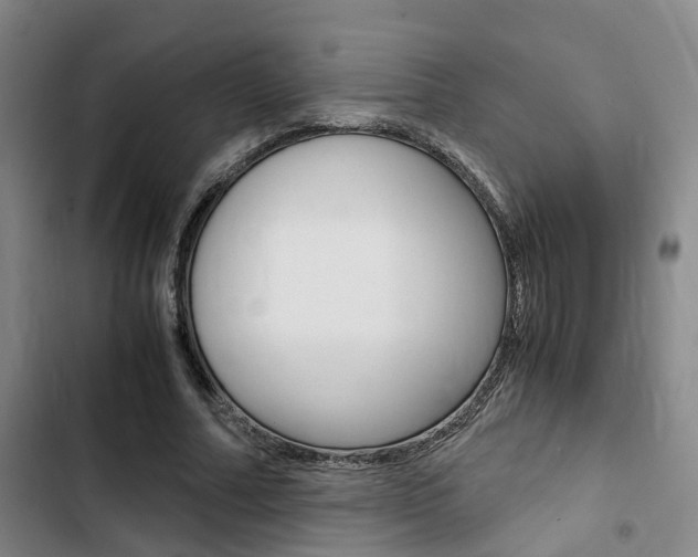 X0000103330682200809051023