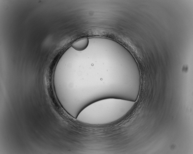 X0000103330683200809051023