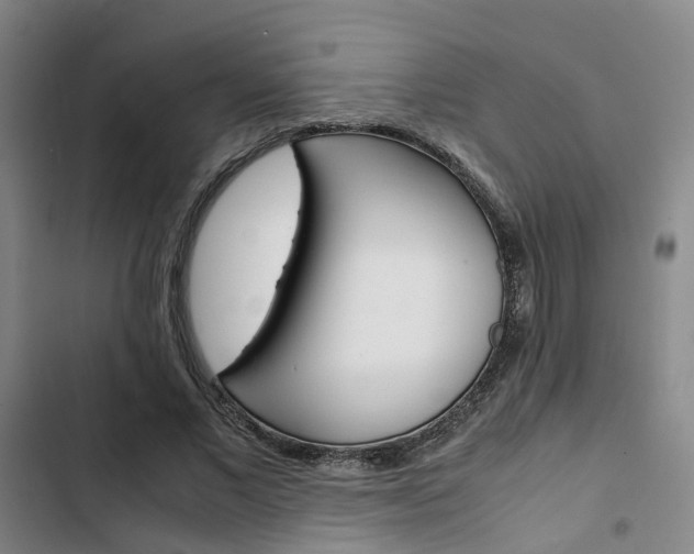 X0000103330685200809051023
