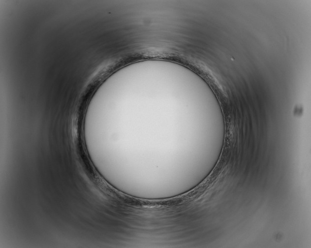 X0000103330686200809051022
