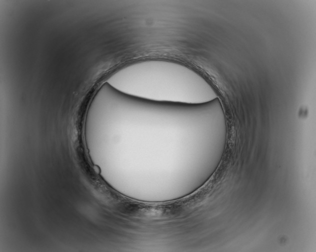X0000103330687200809051022