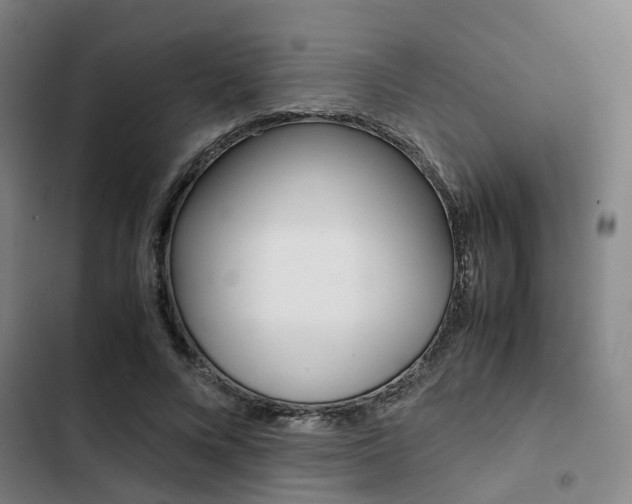 X0000103330688200809051022