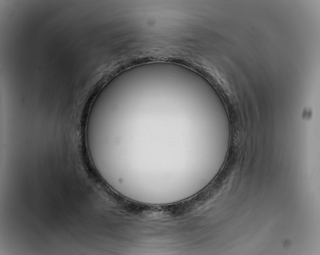 X0000103330689200809051022
