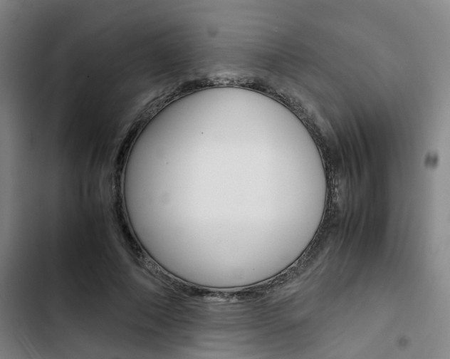 X0000103330690200809051022
