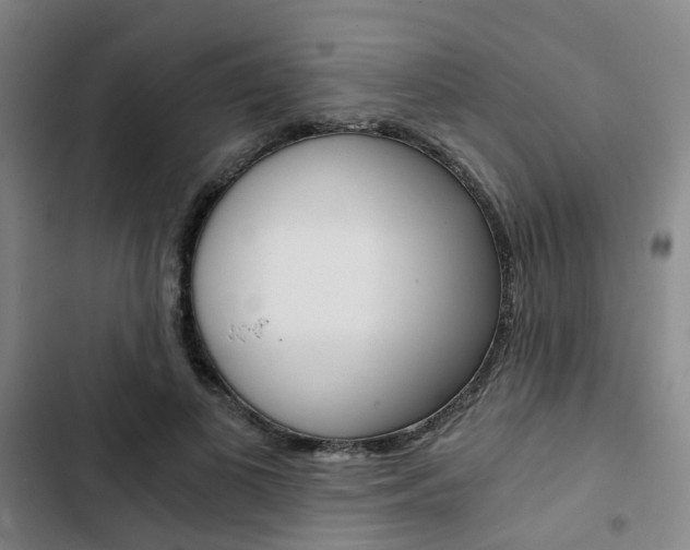 X0000103330693200809051022