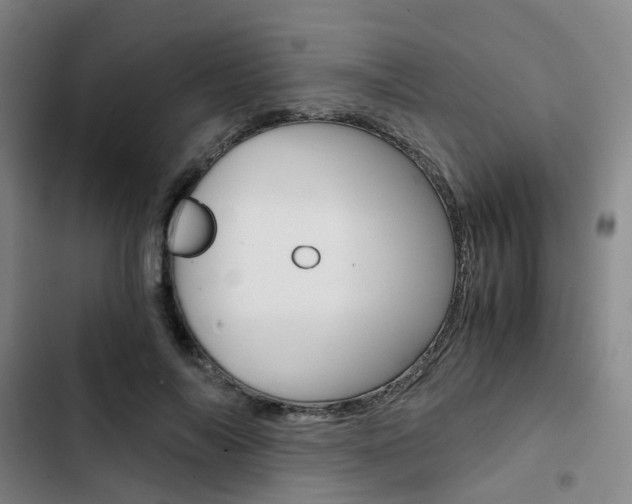 X0000103330694200809051022