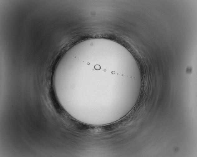 X0000103330695200809051022