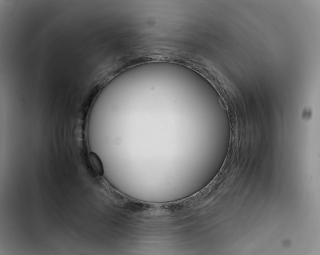 X0000103330696200809051022