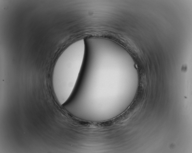 X0000103330697200809051022
