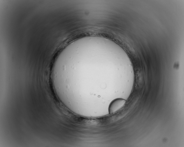 X0000103330698200809051022